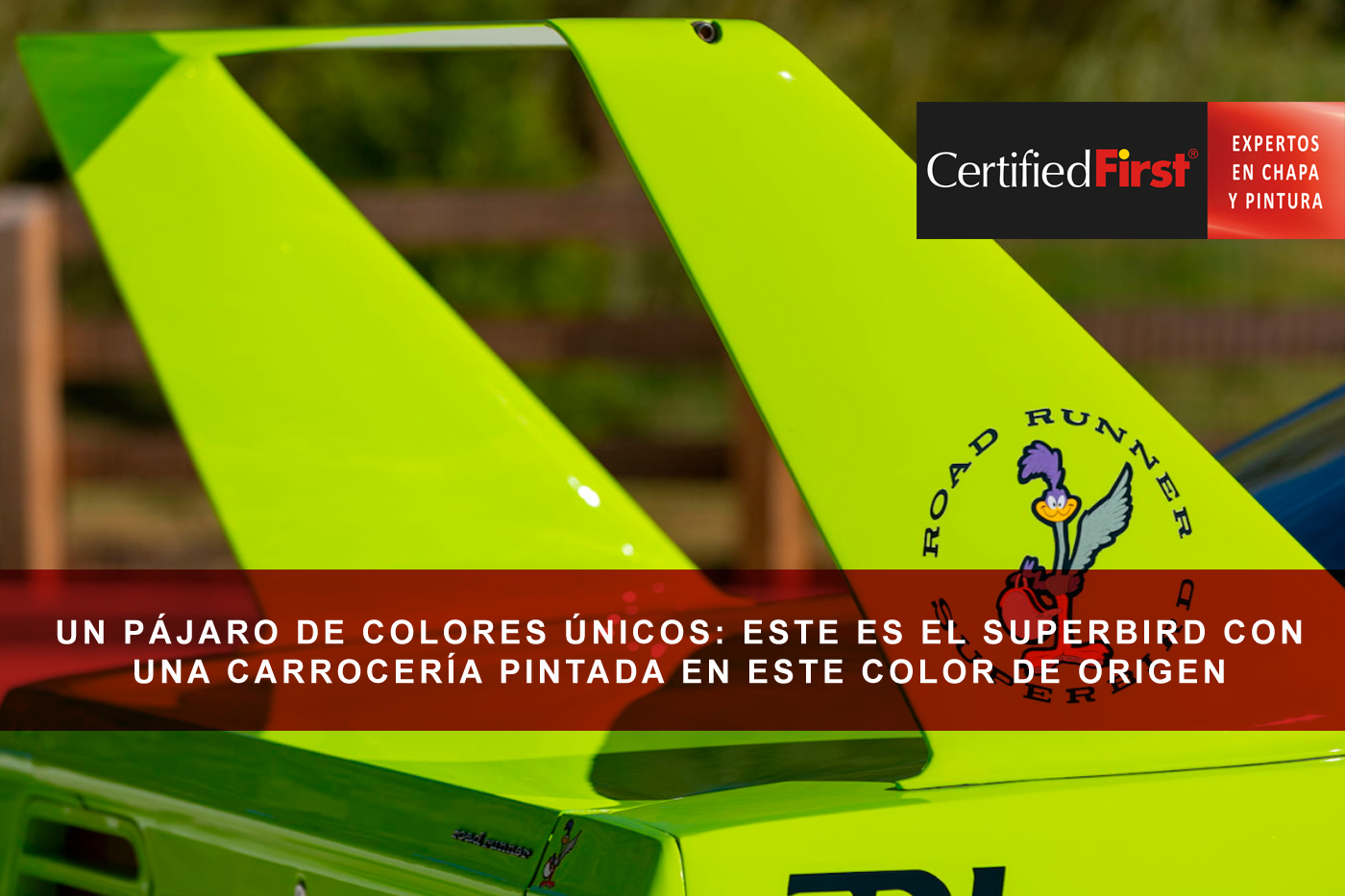 Un pájaro de colores únicos: Este es el único Plymouth Superbird con una carrocería pintada en este color de origen