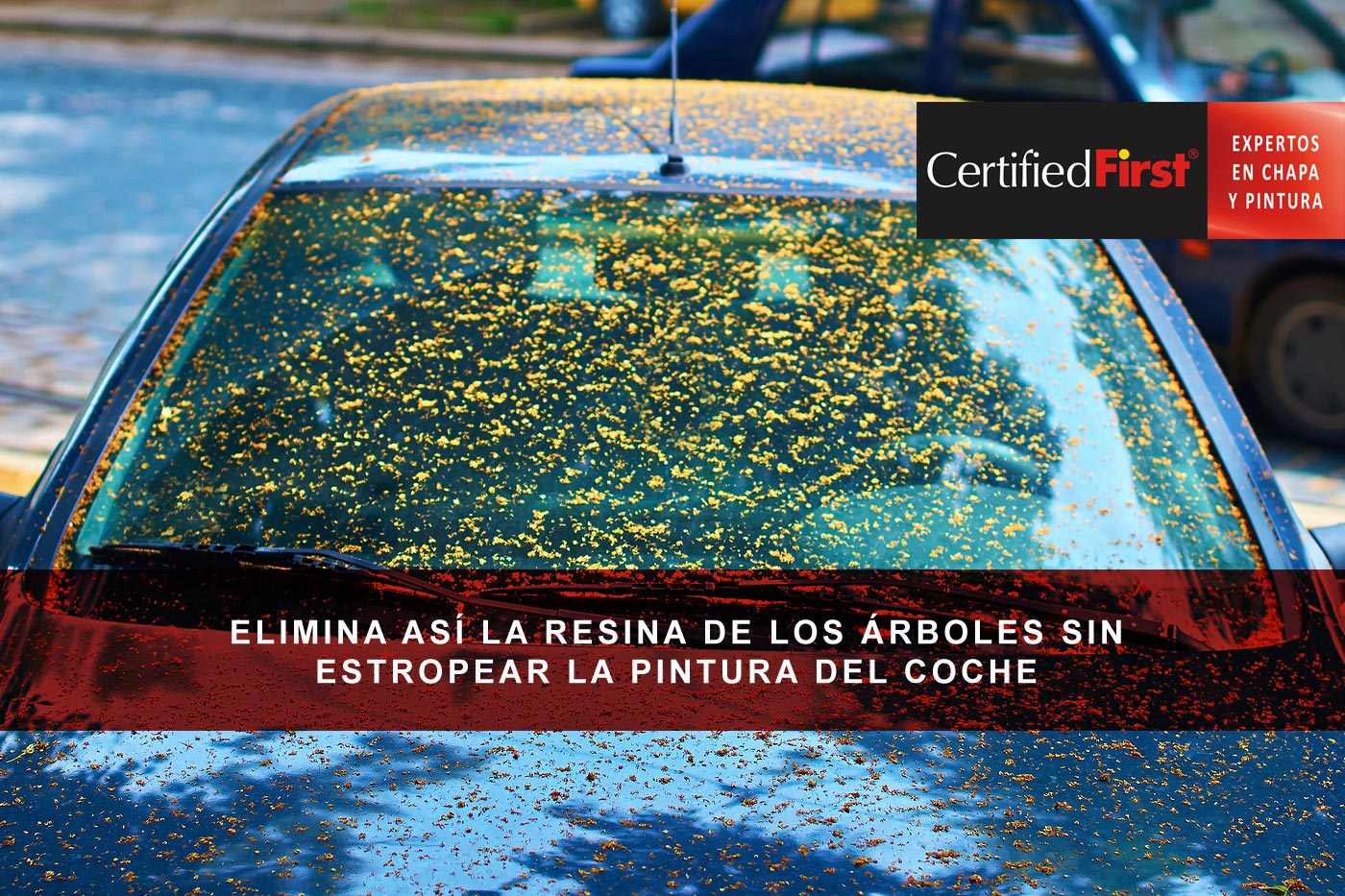 El truco infalible para eliminar la resina de los árboles de la carrocería de tu coche