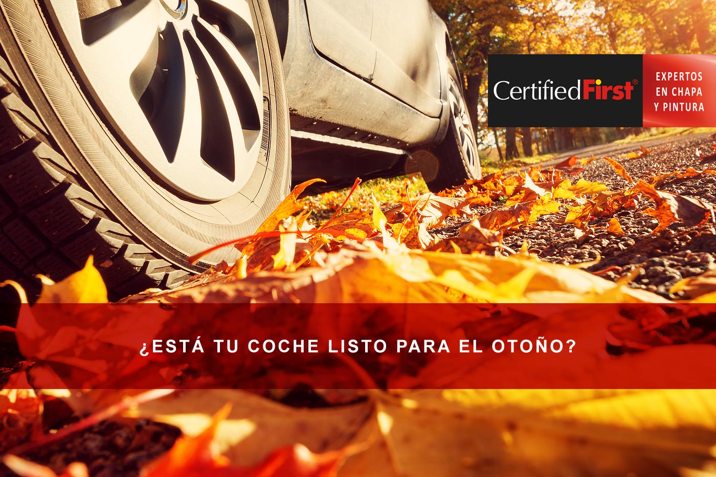 ¿Está tu coche listo para el otoño? Claves para proteger la carrocería y mantenerla impecable en esta temporada