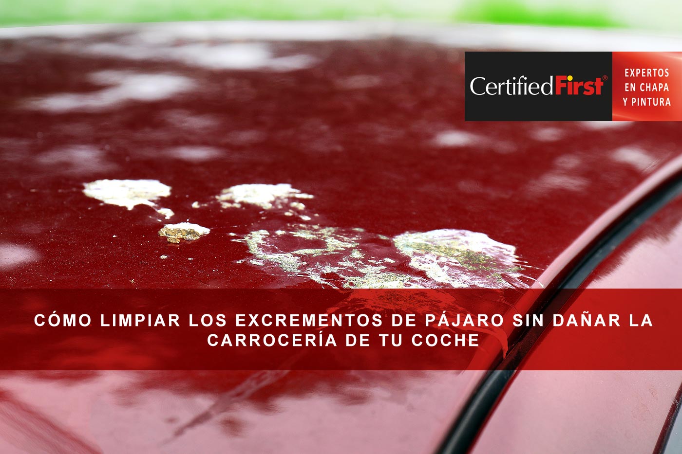 La fórmula para limpiar caca de pájaro sin dañar la carrocería de tu coche