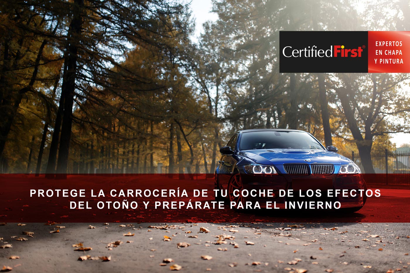 Protege la carrocería de tu coche de los efectos del otoño y prepárate para el invierno