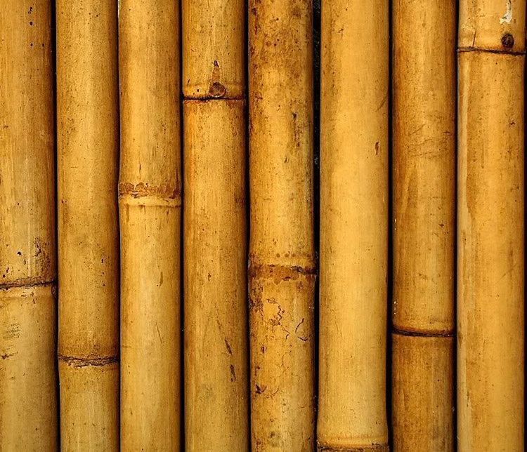 bambu-en-los-coches
