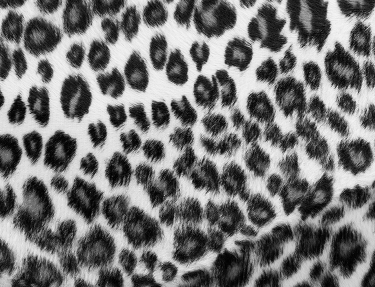 leopardo-estampado-coche
