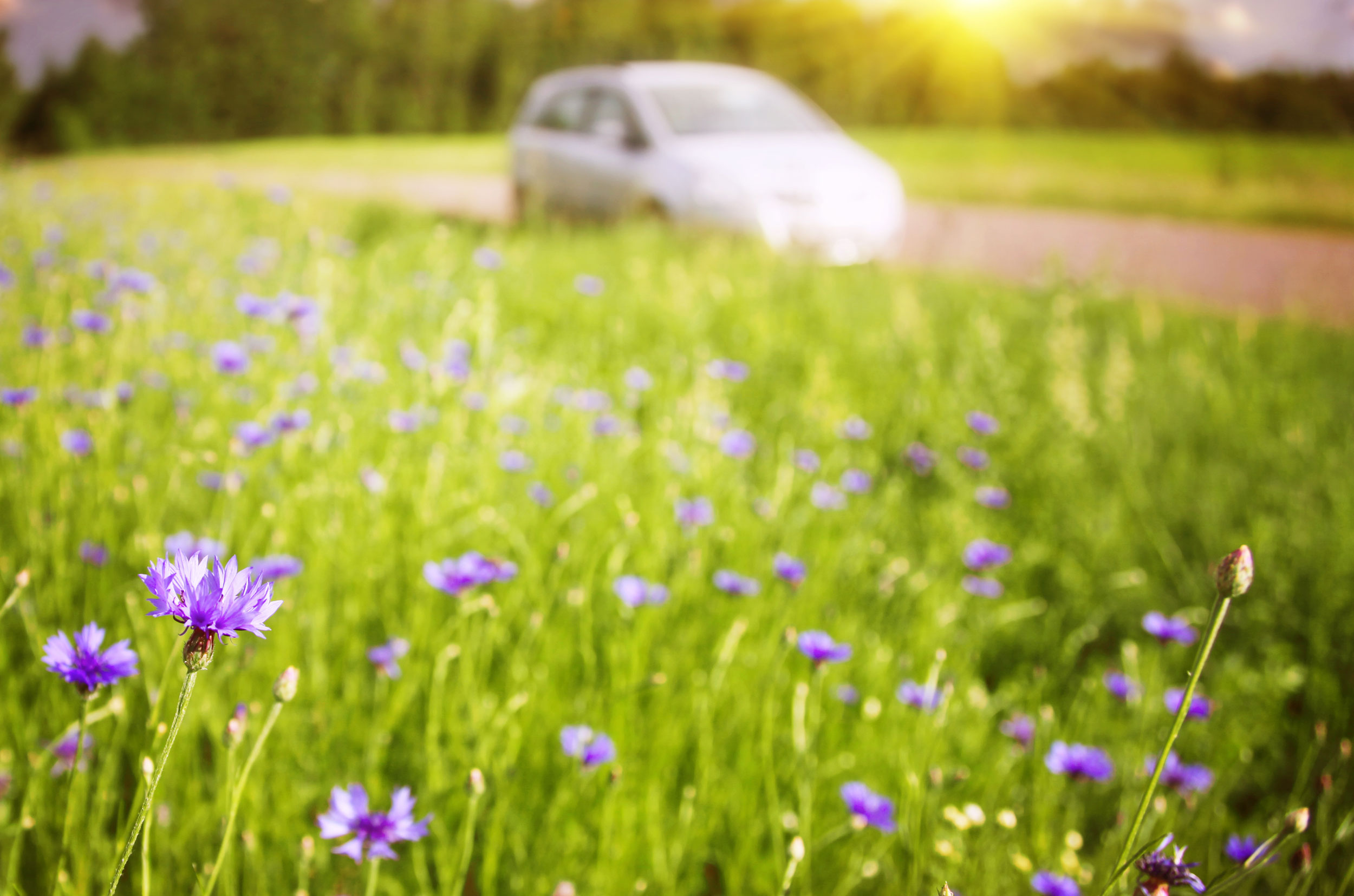 ¿Sabías que el color del coche puede ayudarte a usar menos el aire acondicionado?