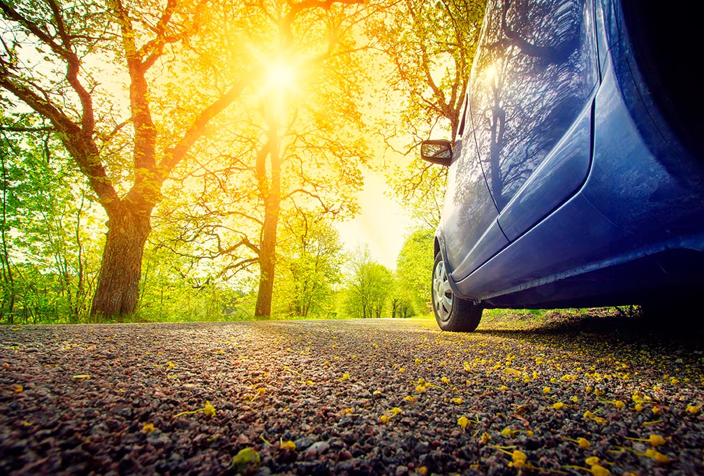 Por qué deberías evitar aparcar debajo de árboles (siempre que puedas)