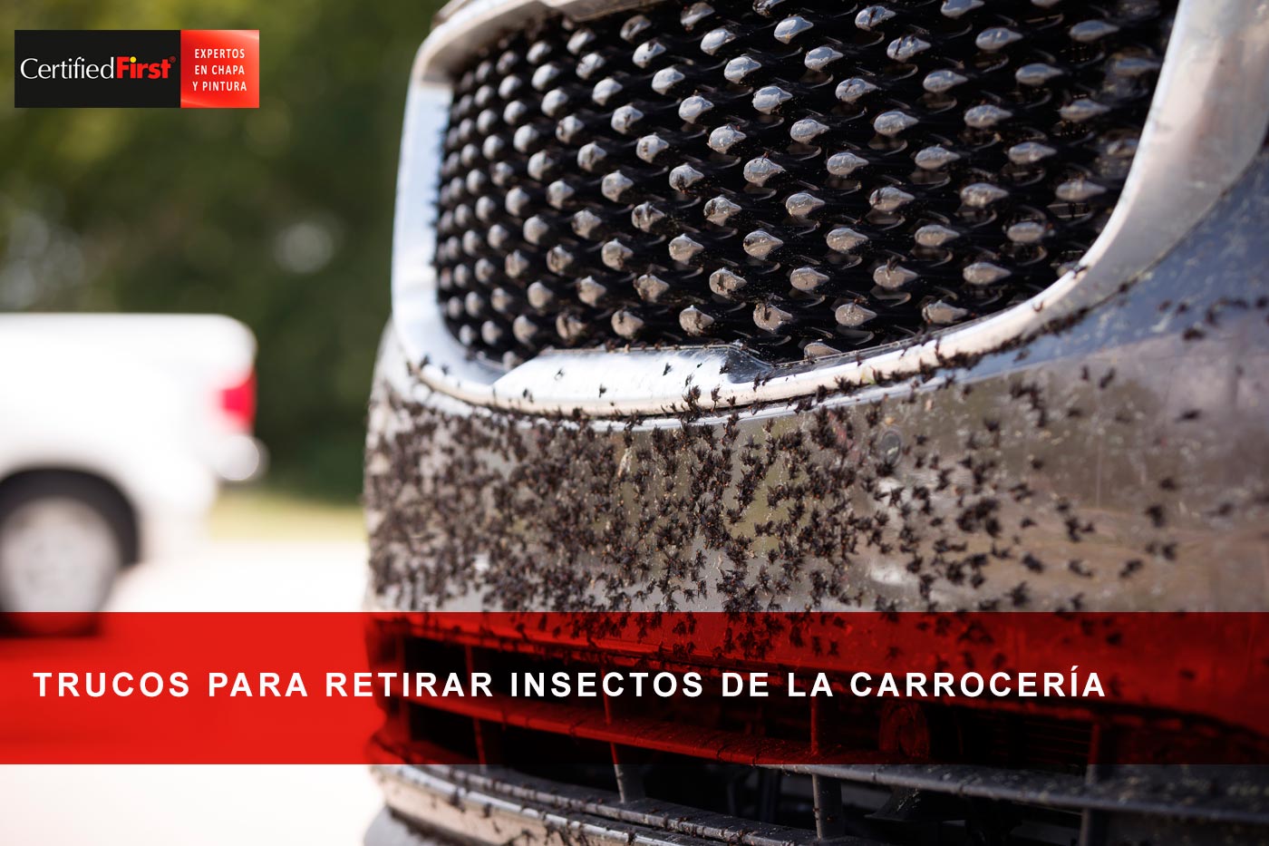 Trucos para retirar insectos de la carrocería cuidando la pintura del coche