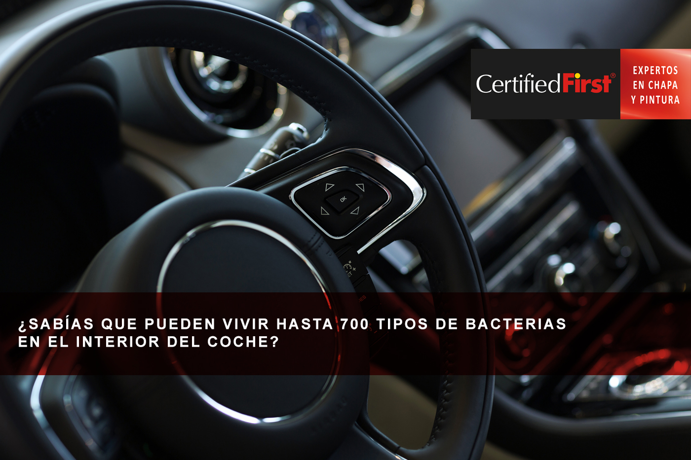 ¿Sabías que pueden vivir hasta 700 tipos de bacterias en el interior del coche?